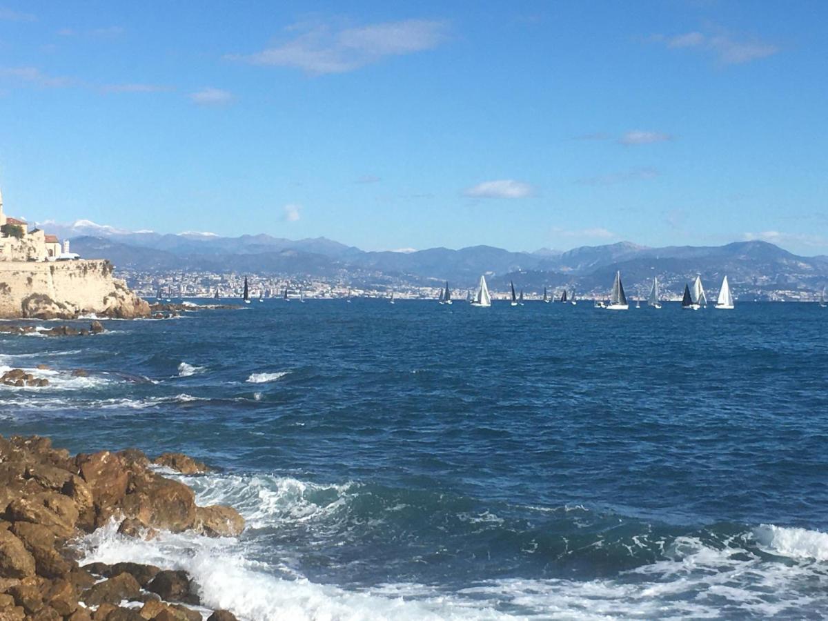 Tortue De Mer Antibes Eksteriør billede