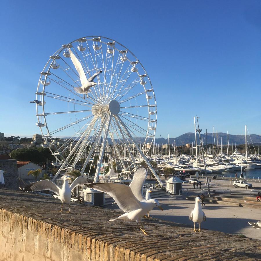 Tortue De Mer Antibes Eksteriør billede